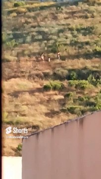 aparecen #humanoides en el cerro de los misterios #vigilia #ovni #ufo #uap #alien #extraterrestre