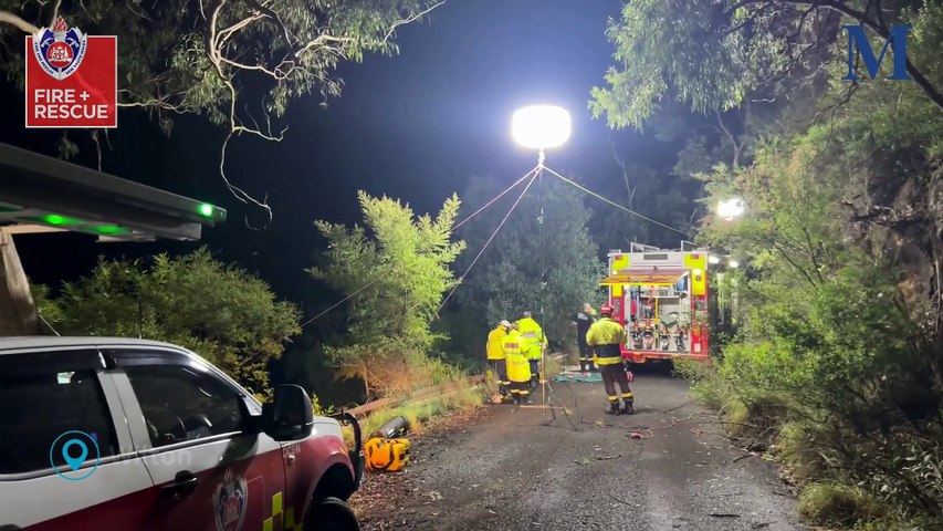 Firefighters save a Labrador dog after it fell down an embankment at Wilton on May 10, 2024. Footage by Fire and Rescue NSW