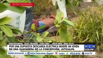 ¡Electrocutado! Una guayaba le costó la vida a un joven en Juticalpa