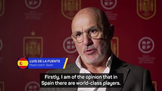 Spain have the best players in the world - De La Fuente