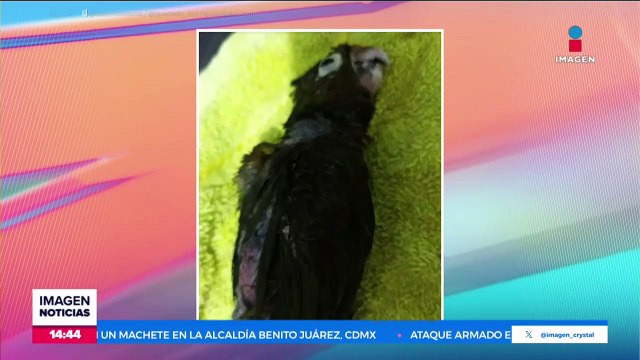 Se registra enjambre sísmico en Baja California