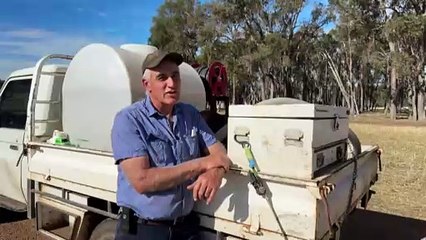 WA farmers and exporters furious over ban on live sheep exports