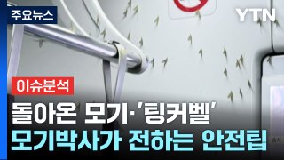 [뉴스UP] 돌아온 '모기 시즌'...지하철엔 '동양하루살이' 출몰 / YTN
