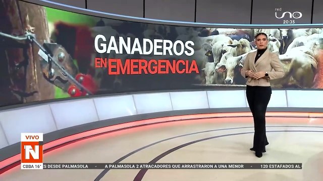 Robaron 35 cabezas de ganado