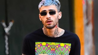Zayn Malik turns his phone off for 'two or three days' at a time to spend time with his animals