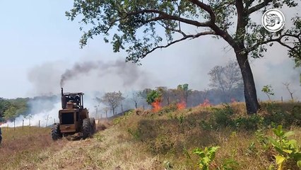 Choapenses siguen provocando incendios; PC atiende hasta tres al día