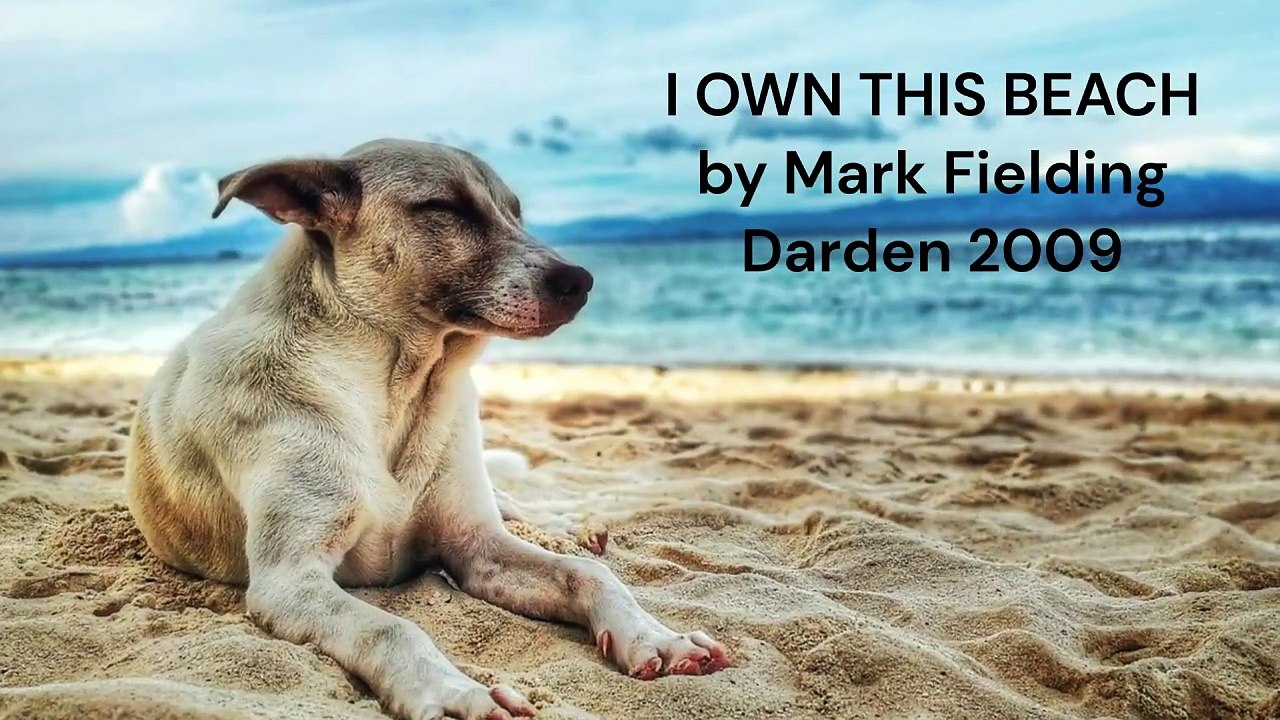 2009 I Own This Beach