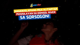 Nagkikislapang mga alitaptap, masisilayan sa Donsol River sa Sorsogon! | I Juander