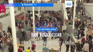Pro-Palestinian university students in the Netherlands uphold protest