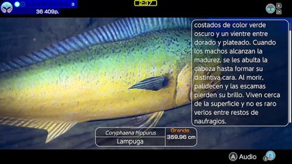 Endless Ocean: Luminous - jugabilidad en Nintendo Switch