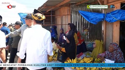 Kunjungan Presiden Jokowi di Pasar Laino, Disambut Lautan Masyarakat Muna