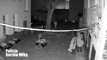 Gazeta Lubuska. Podpalił auto, bo kierowca nie ustąpił mu pierwszeństwa