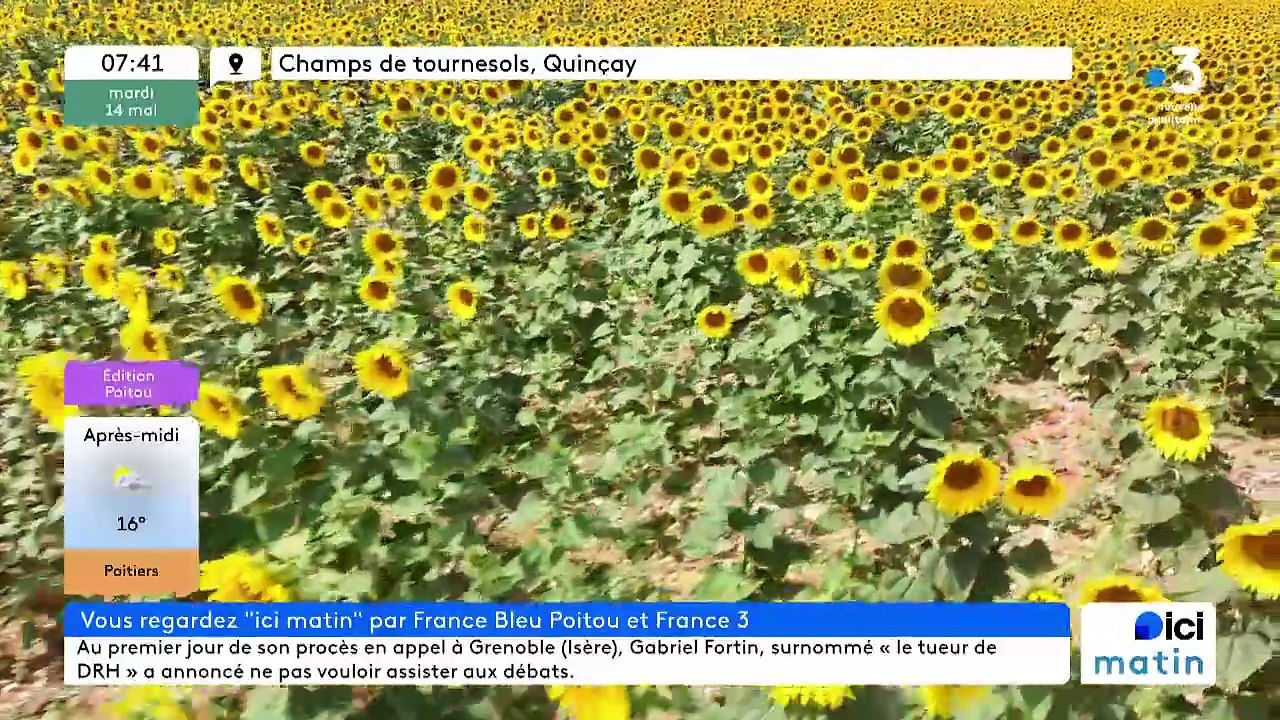 14/05/2024 - Le 6/9 de France Bleu Poitou en vidéo