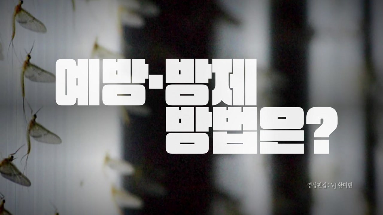 [영상] 이른 더위에 찾아온 '불청객'...방제 방법은? / YTN