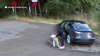 Frau steigt mit dem Hund aus dem Auto und merkt nicht, dass alles gefilmt wird (Video)