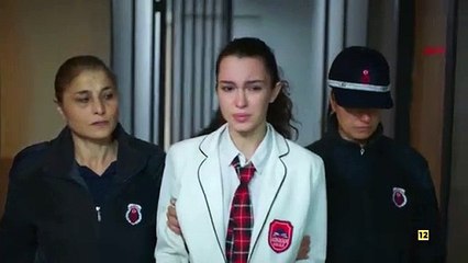 Hermanos Cap 103 - AVANCE