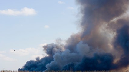 Charente-Maritime : un enfant de 3 ans sauve toute sa famille d’un incendie