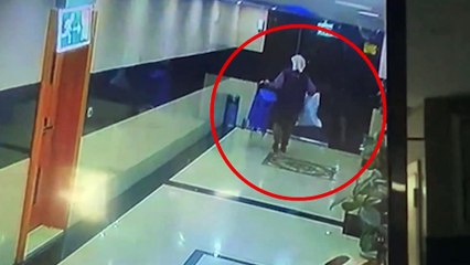 Apartman faresi kameraya yakalandı