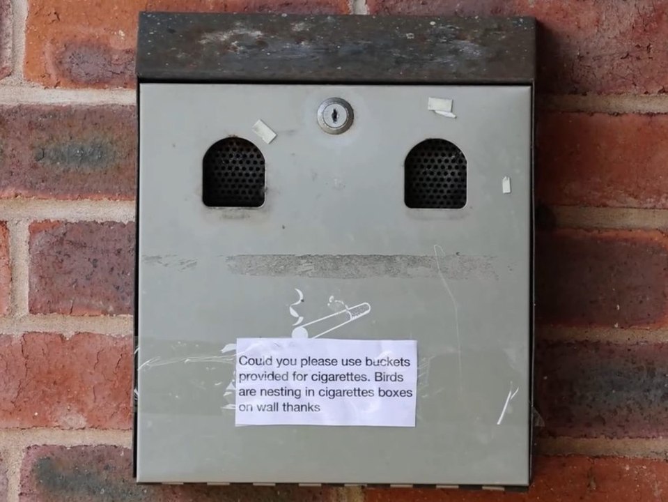 Aschenbecher ist für Raucher tabu: Das ist der süße Grund