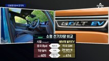 1300만 원 中 전기차 국내 진출 검토