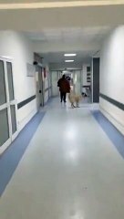 Gözüyle görmeyen inanmazdı! Burası barınak değil hastane