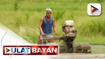 Buwan ng Hulyo, idineklarang Philippine Agriculturists' Month ni PBBM