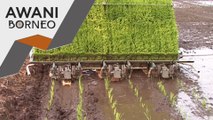 17,500 hektar kawasan baharu sawah padi diperlukan