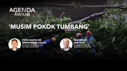 Agenda AWANI: ‘Musim pokok tumbang’