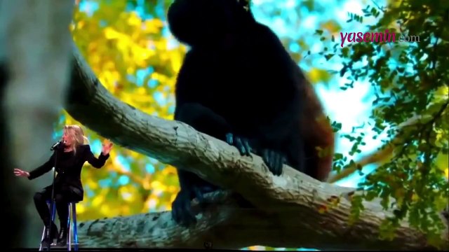 Kanada'daki ses yarışmasında sergilediği performans ağızları açık bıraktı! Görenler inanamadı