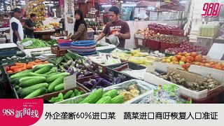 《988新闻线》：2024年05月14日  【新闻线】外企低价进口蔬菜倾销  工会吁政府落实AP管制