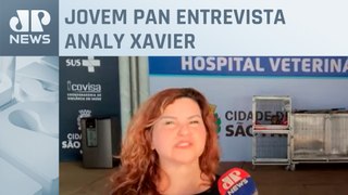 Hospital Veterinário de Campanha atende pets em Canoas (RS); doutora responsável comenta