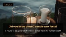 7 Amazing Candle Wax Facts That Will Light Up Your Mind!