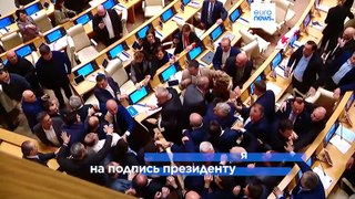 Парламент Грузии принял спорный законопроект об 