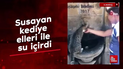 Kahramanmaraş’ta susayan kediye elleri ile su içirdi