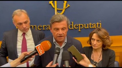 Calenda: ddl per la revisione del finanziamento privato a politica