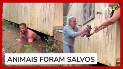 Homem entra debaixo de casa alagada para resgatar filhotes durante enchente em SC