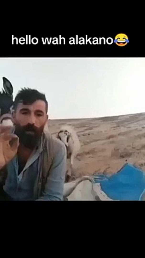 Funny Video Comedy Video Comedy Shows