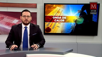 Rescatista convierte su casa en albergue de vida silvestre; refugia a animales del calor