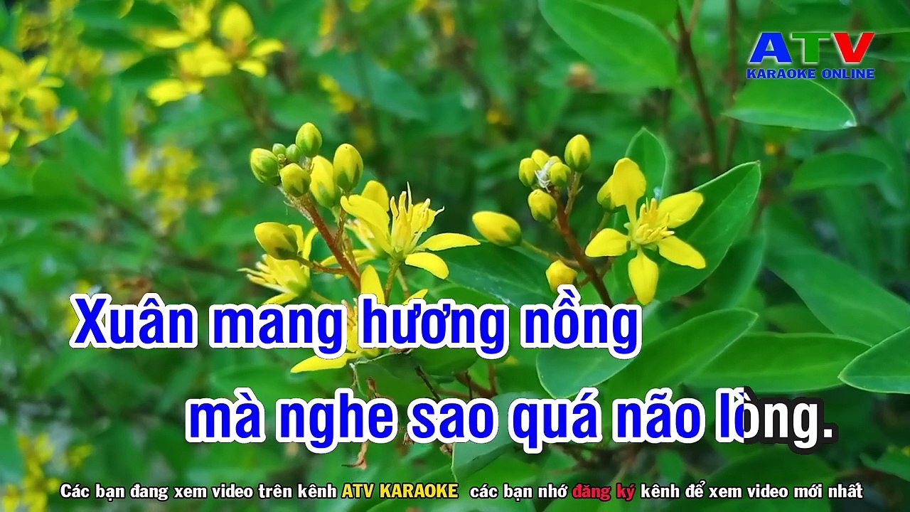 05.Karaoke   Mùa Xuân Xa Quê - Tone Nam - Rumba Nhạc Sống - ATV Karaoke