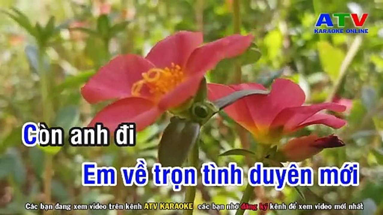 02.Karaoke  Thà Trắng Thà Đen - Tone Nam - Karaoke Nhạc Sống - ATV Karaoke