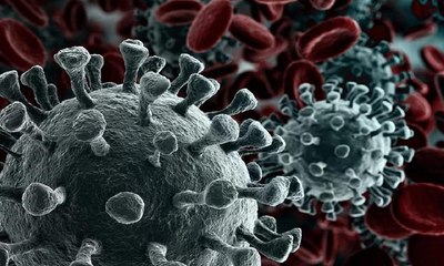 سلالات متوحشة جديدة من كورونا