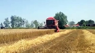 Laverda Combine Harvester