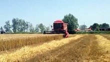 Laverda Combine Harvester
