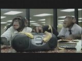 Les chimpanzés au bureau(Carrer Builder 2)