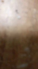 Șogor Tiberiu Adrian 14/05/2024