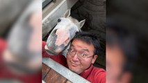 Un peregrino chino y su caballo recorren doce países y siete mil kilómetros en dos años