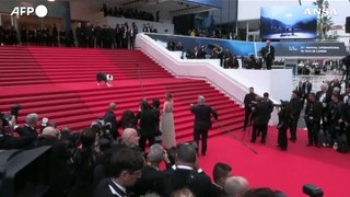 Cannes: sul red carpet anche Messi, il cane di 