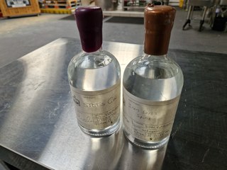 I took my mum to Gin School and here's what happened