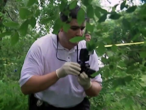 Disparitions inquiétantes