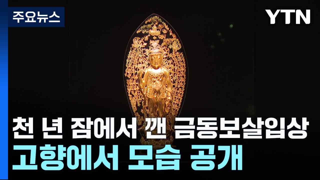 베니스에 '임을 위한 행진곡'...헌법 전문 수록 염원 / YTN